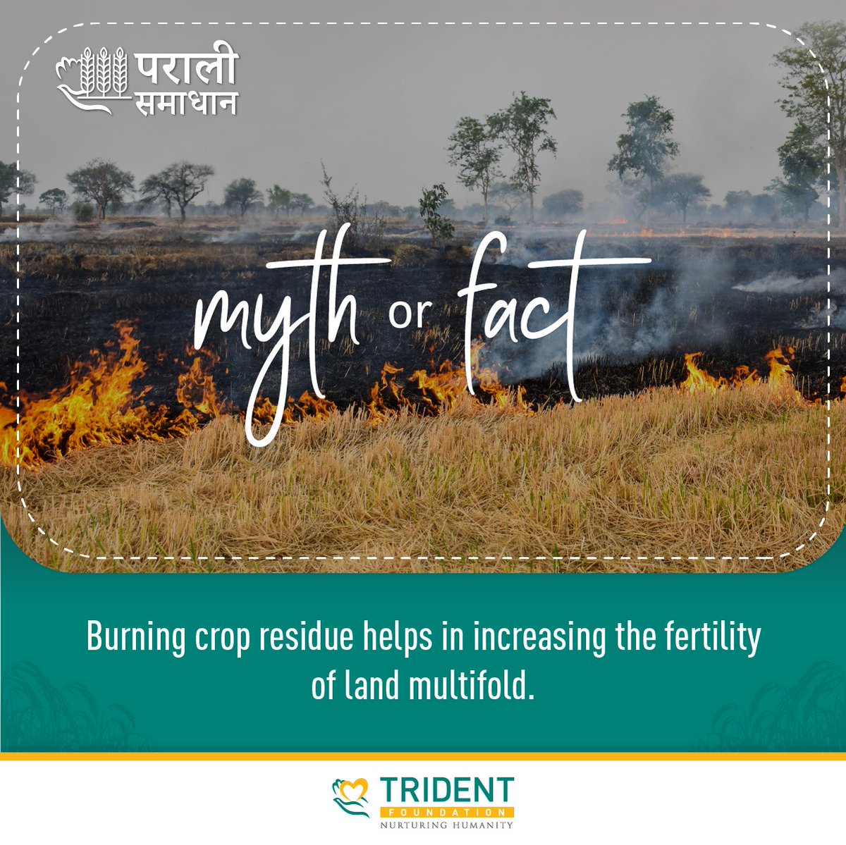 TridentCares's tweet photo. #ParaliBurning is an issue that our farmers & #society deal with at this time of the year. There are plenty of myths attached with the subject. #TridentFoundation has a small exercise in our quest to increase #awareness related to the issue.
#parali #stubbleburning https://t.co/Ahnq8UMzXH