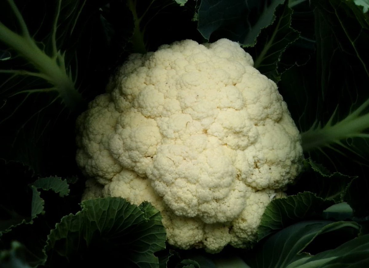 Our delicious latest blog loaded. africanrelish.com/news/summer-st…