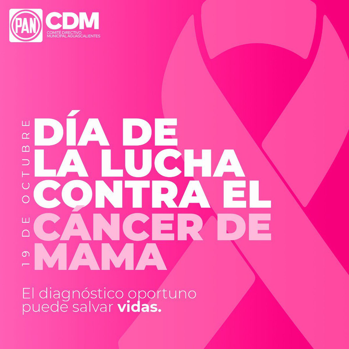 CDM PAN Aguascalientes tweet media