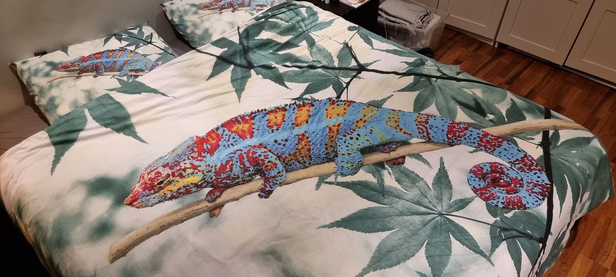 Blijk ik zonder het te weten onder een Mark Rutte-dekbed te slapen! <a href="/minPres/">Rob Jetten</a> #reptiel #reptilesruletheworld