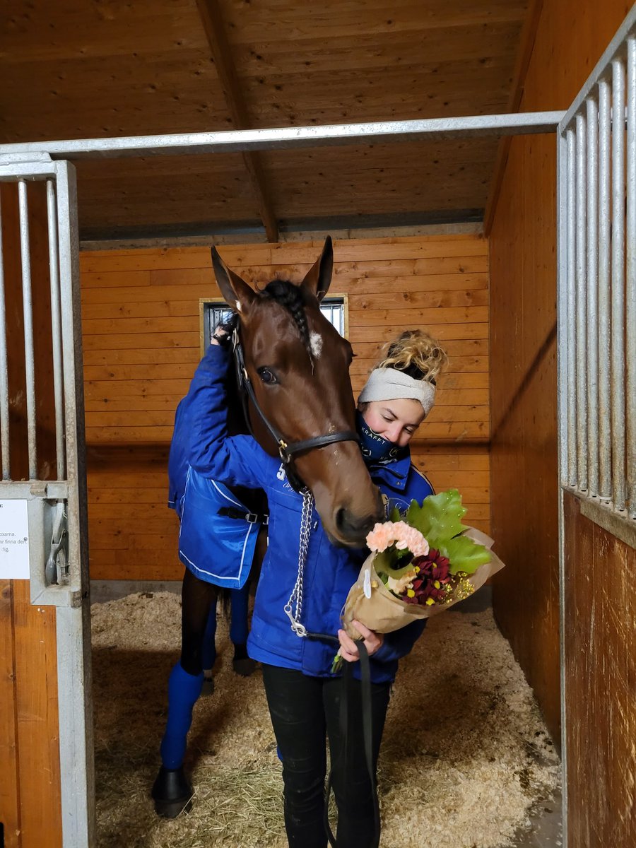Good boy ❤️
Eilen voitto Axevallasta!
Velocius Crowd One / Björn Goop

#trav #ravit #hevosurheilu #stallgoop
