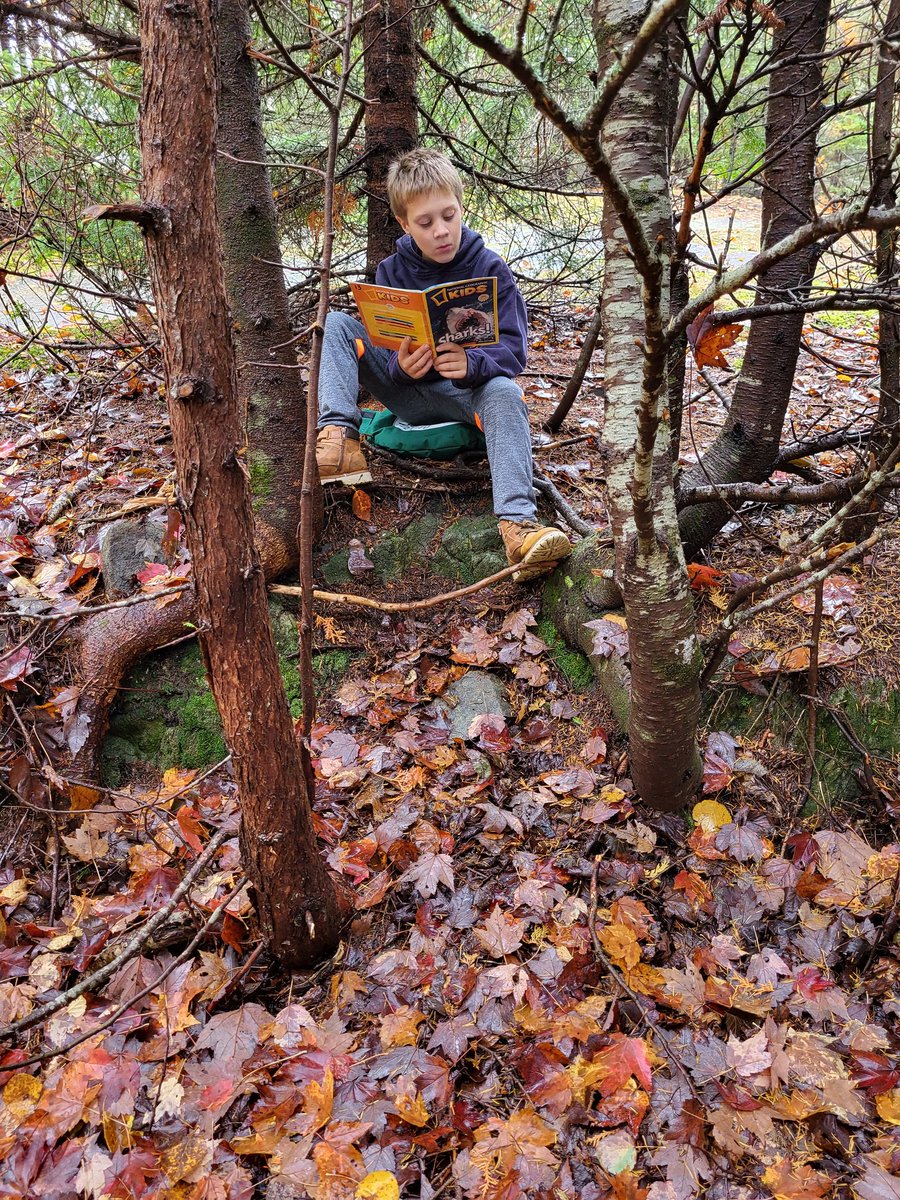 BrentAnderson10's tweet photo. @gaiaproject @EcoSchoolsCAN These are just some of the sit spots on Deer Island @DeerIslandCS students use! @ASDS_PhysEd @ASD_South @takemeoutside @mec #tmoasds2022 #asdslearningoutside https://t.co/8XNtlMXdDn