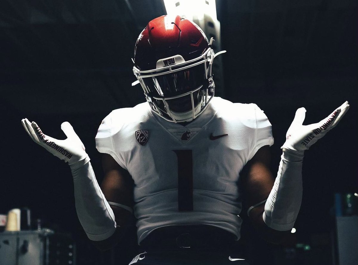 Dylan Williams tweet media