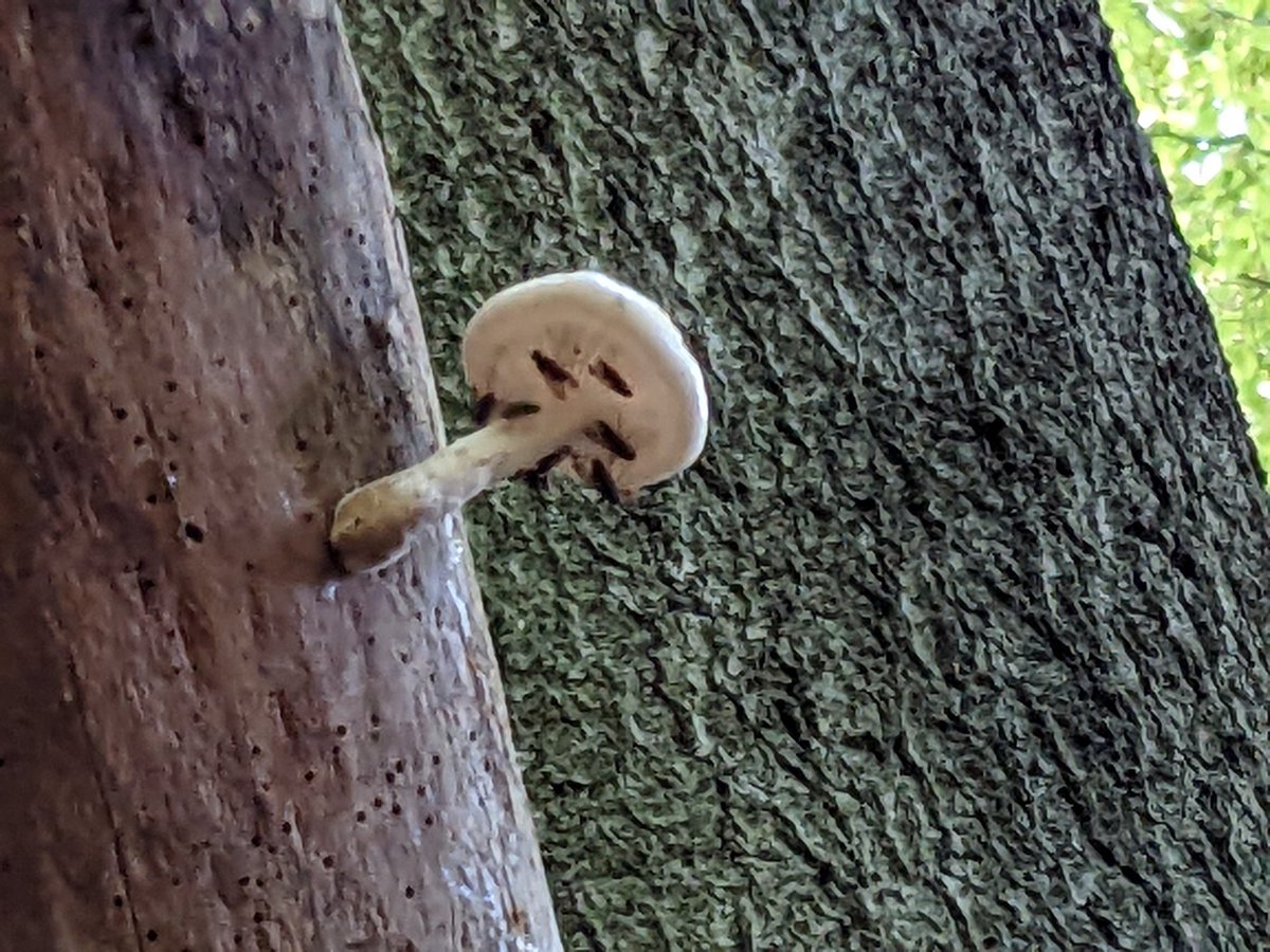 Ben Davis tweet media