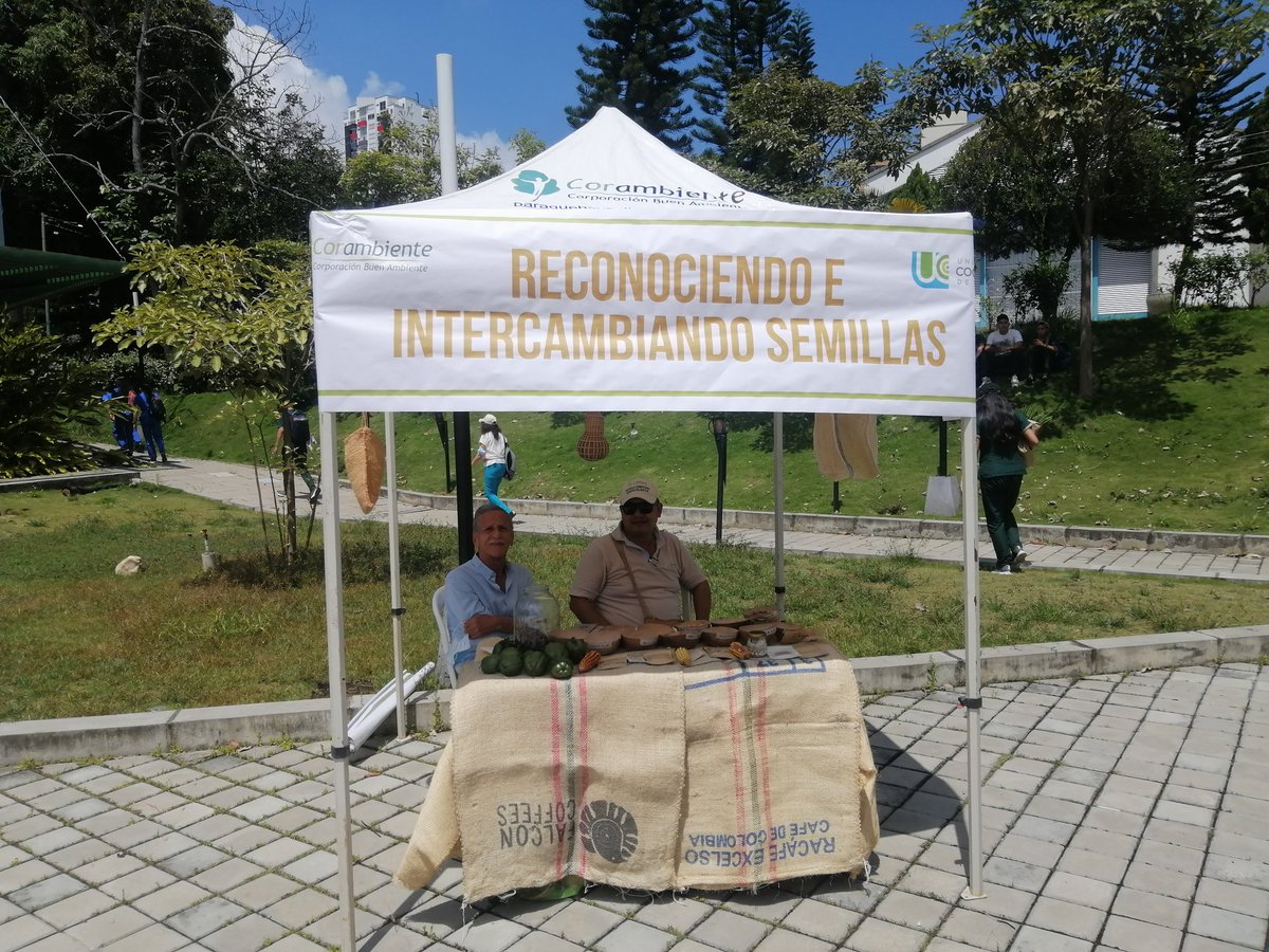 Pipe González tweet media