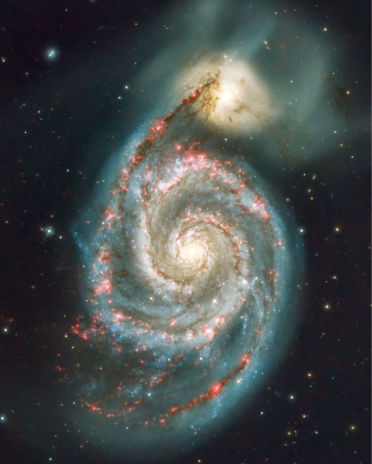 Julio Maiz tweet media