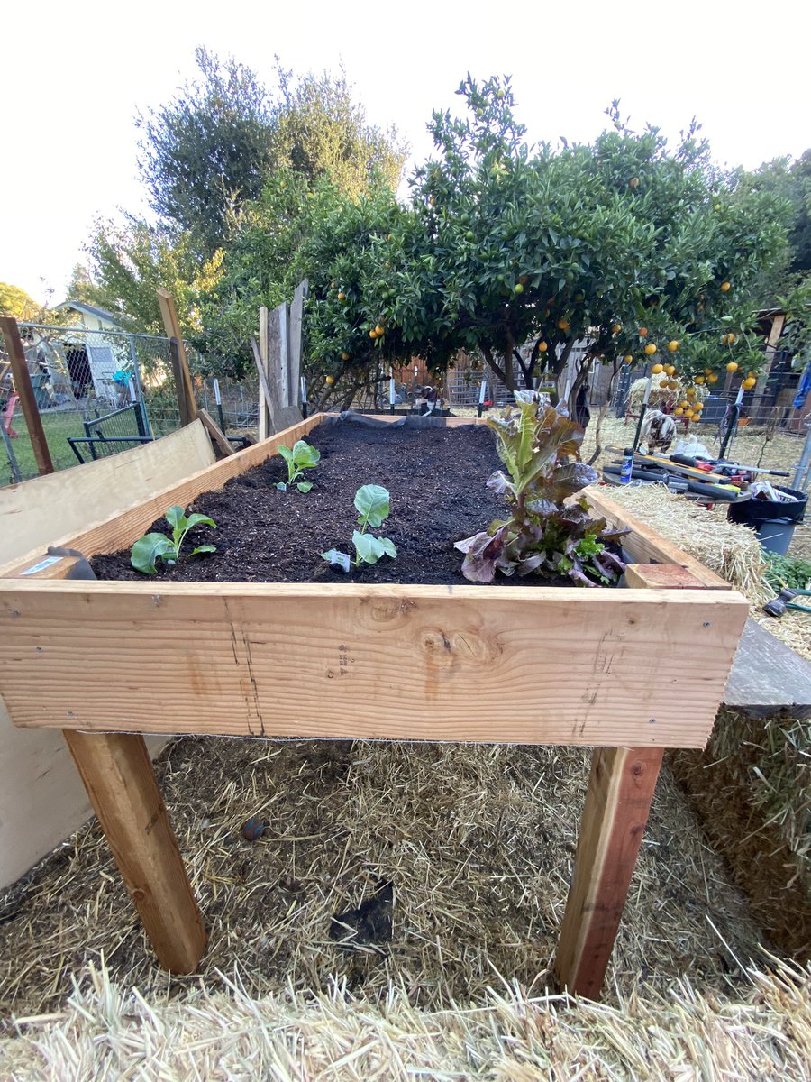 Interested in learning how to put one of these together? Follow our farming page for tips and tricks about urban farming. instagram.com/reel/Cj5Zt9HMb… #eastpaloalto #menlopark #northfairoaks
