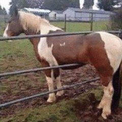 Thanos_pandith's tweet photo. World is full of mysteries . 😆

https://t.co/jOyOI8jEnf https://t.co/3WxZhjSlDZ