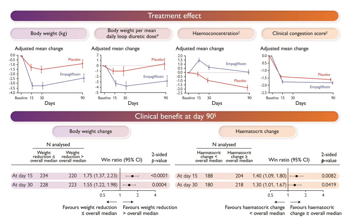 What's the impact of empagliflozin on decongestion in acute heart failure? New insights from the EMPULSE trial in EHJ! academic.oup.com/eurheartj/adva… #SGLT2 #decongestion #heartfailure #empagliflozin #cardiotwitter @escardio @ESC_Journals