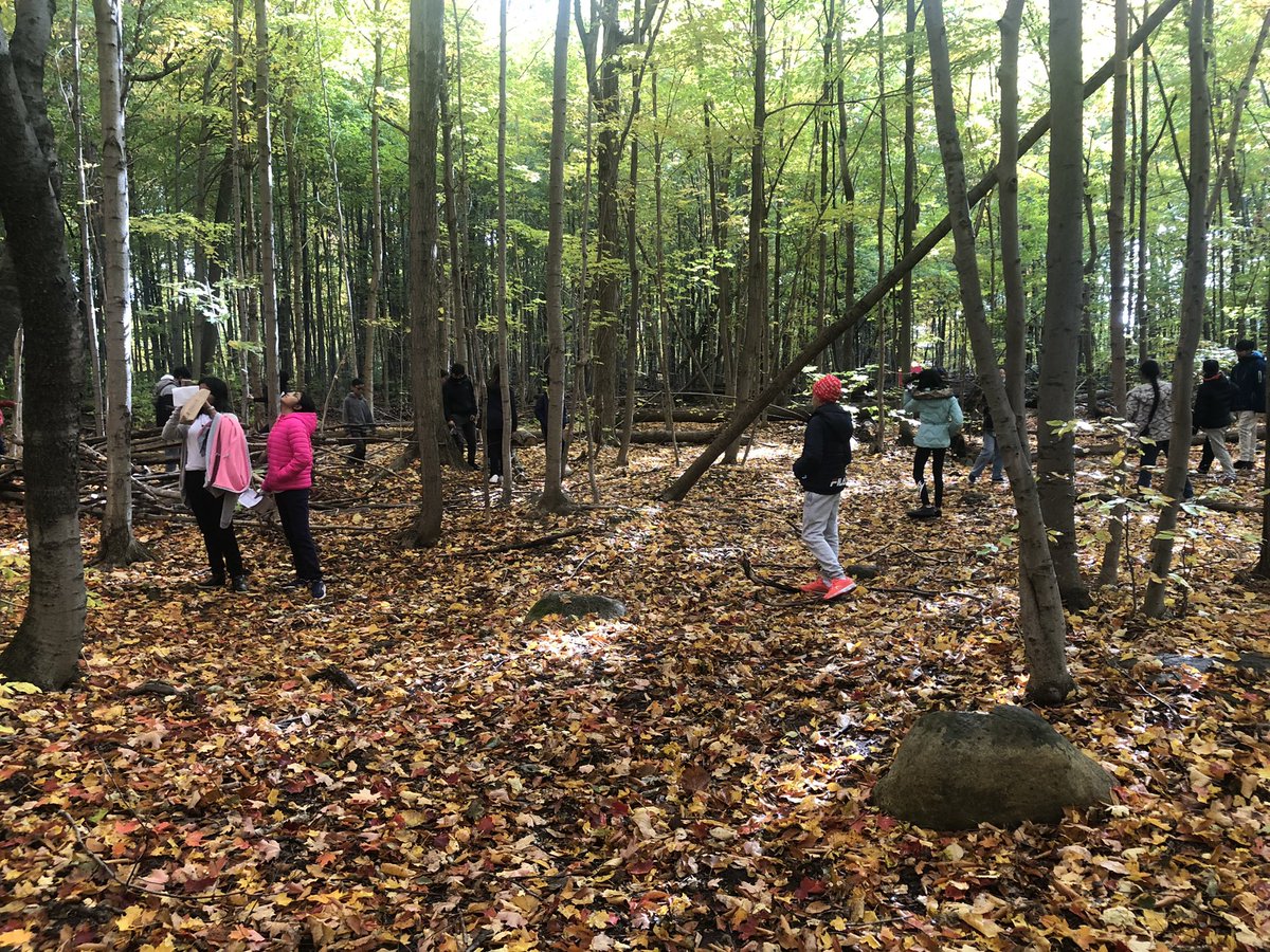 courtney tweet media