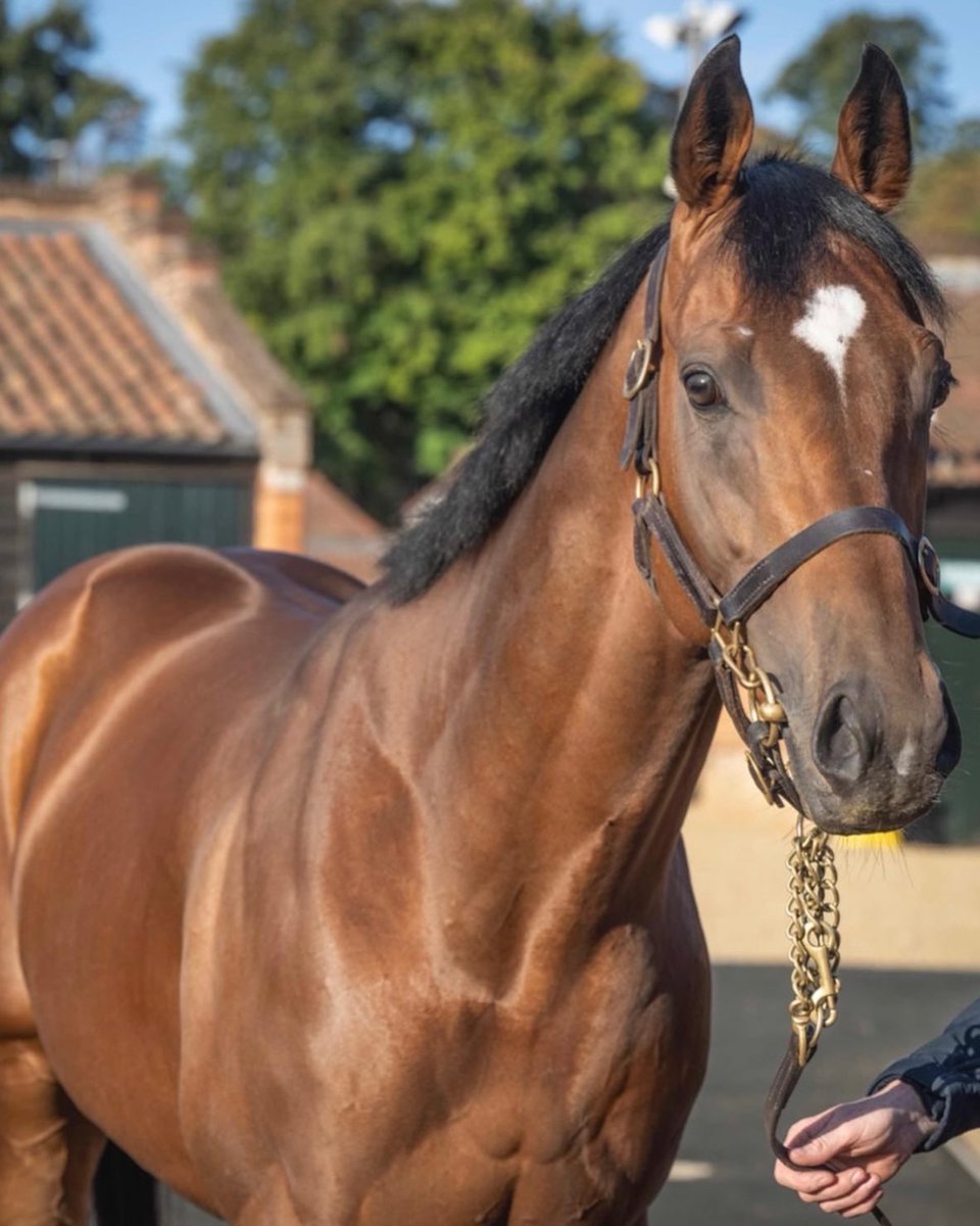 Hilltop Racing tweet media