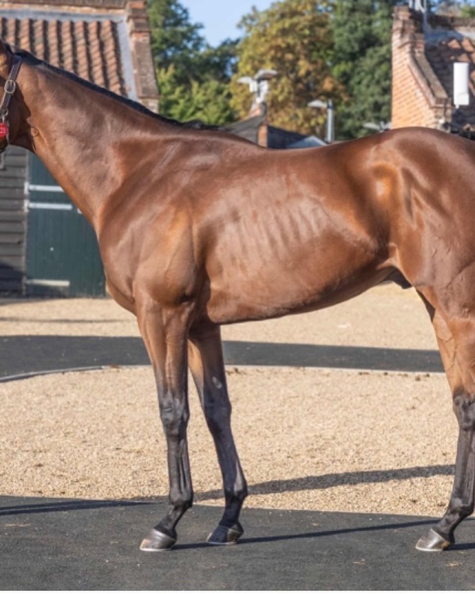 Hilltop Racing tweet media