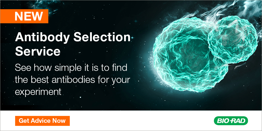 BioRadFlowAbs's tweet photo. Get support selecting the best #antibodies for your experiment with our Antibody Selection Service.
Learn More: https://t.co/zpSuw2LImX #LifeInTheLab #GradSchool #PhDChat https://t.co/2CJcjqxtIx