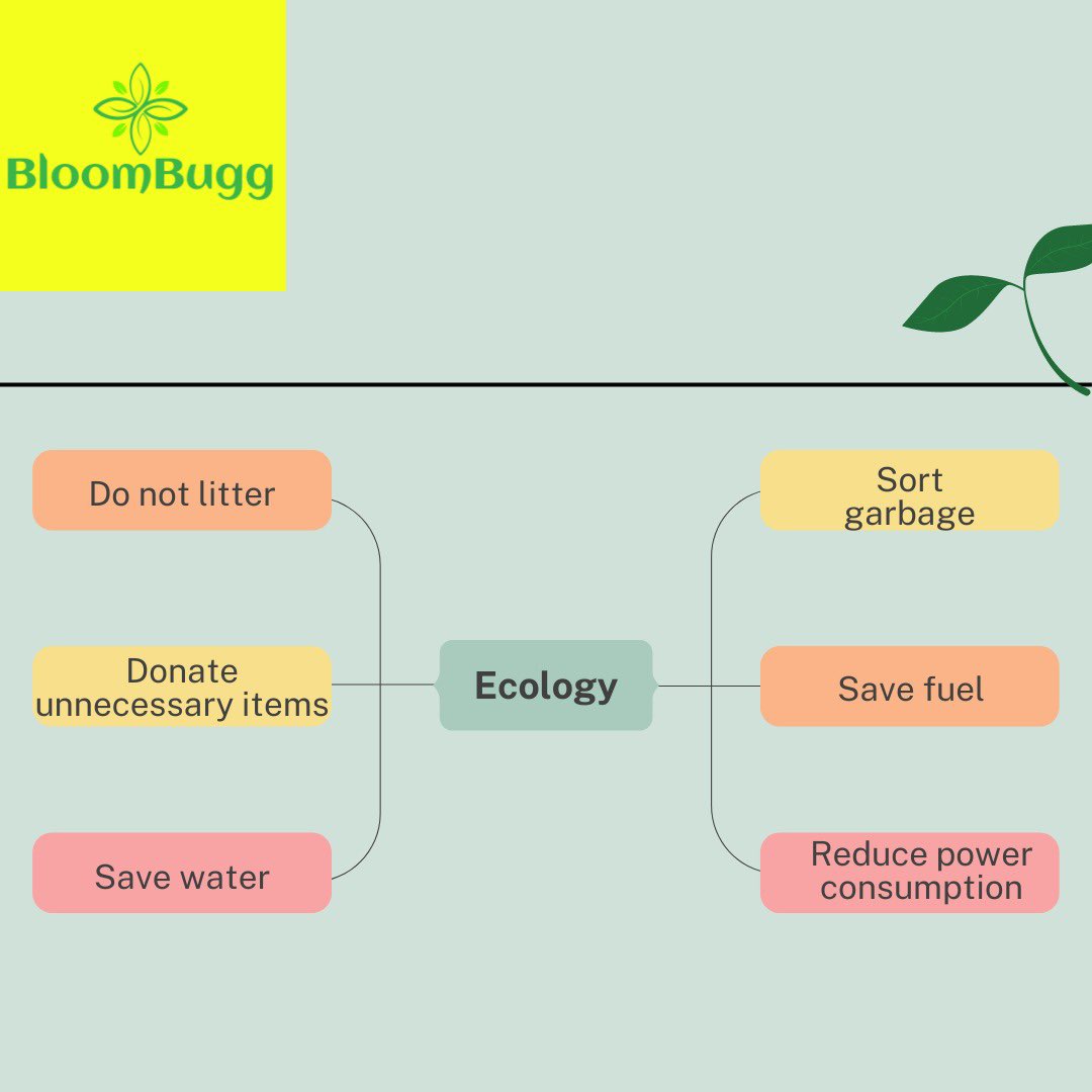 As a responsible citizen of the planet, it is our duty to maintain a healthy ecological system through healthy lifestyle habits. Here are some tips to get you going!

#conserveecology #protectplanetearth #climatechange #sustainableliving #BloomBugg