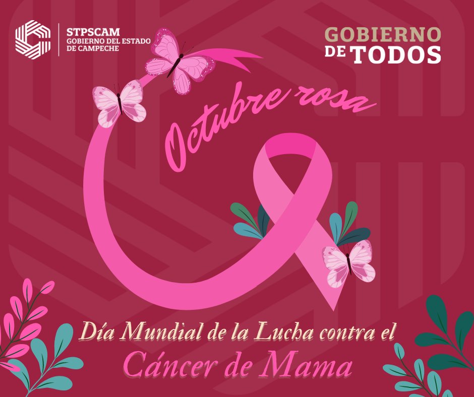 Subsecretaría de Trabajo y Previsión Social tweet media