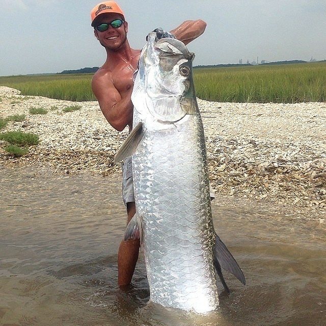 fishingbassco's tweet photo. Rate this catch 1 to 10 🎣❣️
#fishing #fishy https://t.co/Uh5UIEjUZs