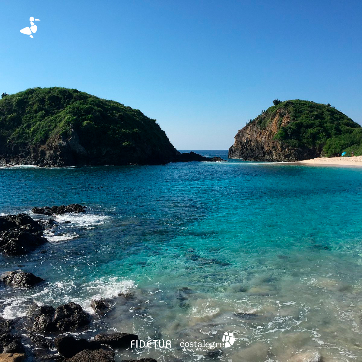 Costalegre_Ofi's tweet photo. ¿Sabías qué…?
Su color de arena es dorada, y se obtiene la mayor parte del pescado en la zona de Costalegre.
¡Conoce Punta Pérula!
📷: tripadvisor
https://t.co/ipZwJPREhc
#ViveCostalegre #BahíadeChamela #PuntaPerula #mexicomagico #Jalisco #discovermexico #visitmexico https://t.co/BQJESfw8jY