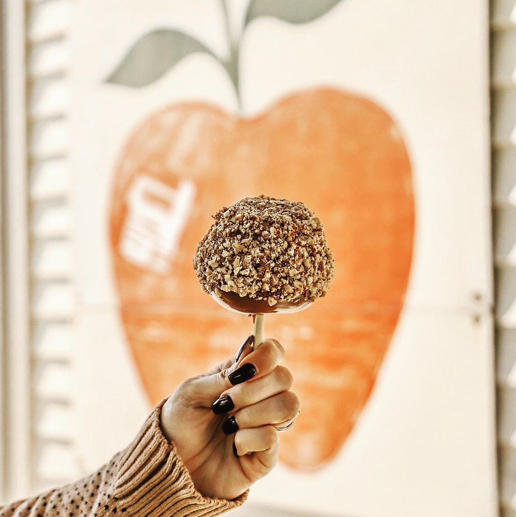 AppleStoreCP's tweet image. "Mr. DeMille, I'm Ready for My Close Up!" — Norma Desmond, Sunset Boulevard. Open Wed. - Sun., 12P - 5P*. 🍎 🍏

Discover more about The @ConnerPrairie Apple Store: connerprairie.org/applestore

📸 @sierraejackson

*Open during Headless, 5:30P - 9PM.

#AppleStoreAtCP #SunsetBoulevard