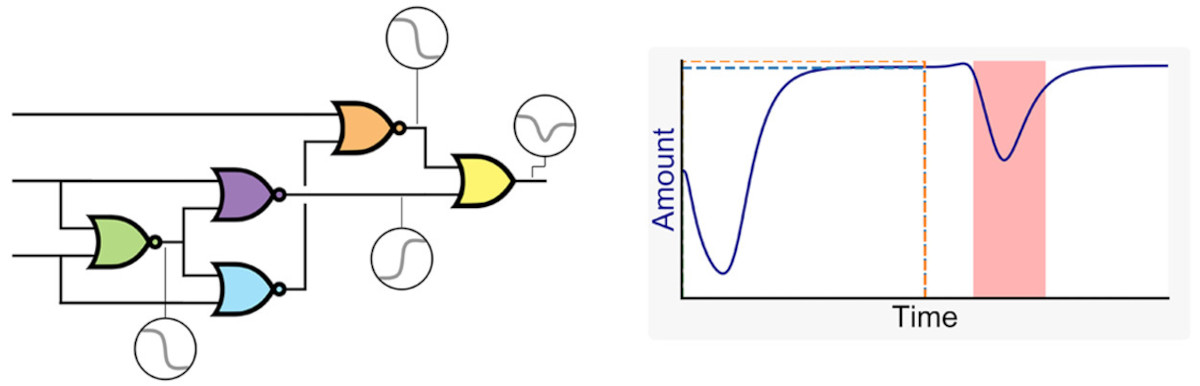 ACS Synthetic Bio tweet media