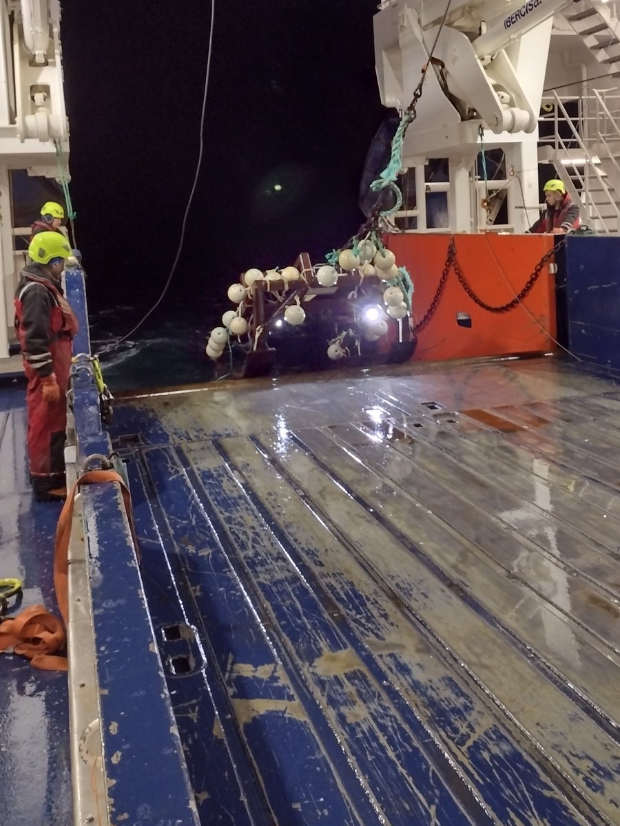 Stephen_D_Long's tweet photo. @ZSLScience working with @GCRC_GINR to capture new images of #deepsea life over 1,500m below the surface of the Davis Strait west #Greenland
@ZSLMarine @OfficialZSL @PJSJones 
Funded by @MSCintheUK https://t.co/AOcCwKChkD