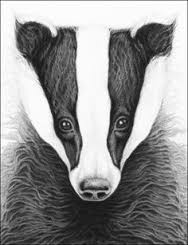 Hi <a href="/DefraUK/">#Defra</a> and <a href="/NaturalEngland/">Natural England</a> authorisation letters etc for new supplementray #badgercull zones were issued on 25.5.2022 but where are the rest of the licences for the 2022 #badgercull. Are all badgers currently being trapped and/or shot illegally killed, perhaps?