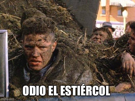 soy_mouse's tweet photo. @YoMarihuano La piedra con que se limpio https://t.co/jpiGYZlDHZ