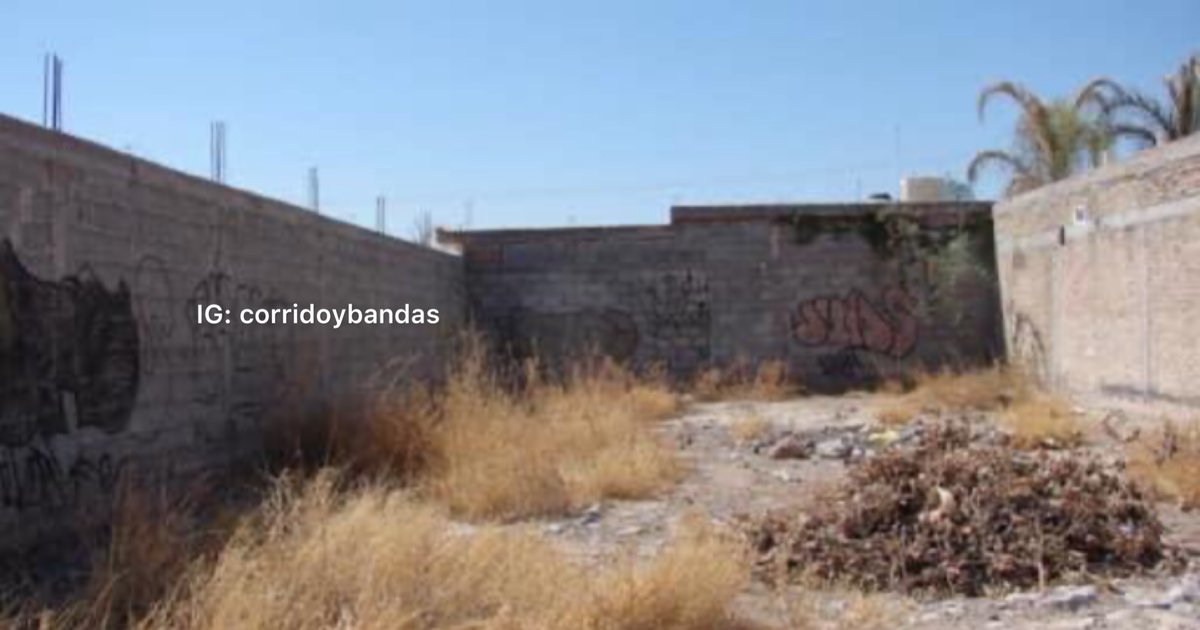 corridosybandas's tweet photo. Un día eres joven y al siguiente vez algo así y piensas:
“Ese terreno está bueno” https://t.co/KtCgZduHME