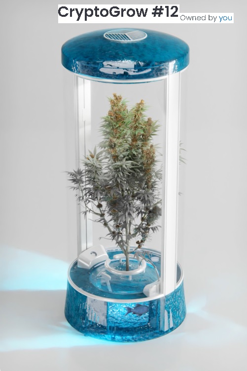 Braaap728's tweet photo. Stoked on my new @CryptoGrowNFT , which allows me to burn an NFT in order to claim my actual IRL growing machine. Using the machine also enables me to earn $HRVST tokens while we grow our plants. Win/Win in my opinion. #GrowtoEarn #LFGrow https://t.co/q0uyKFOv0e