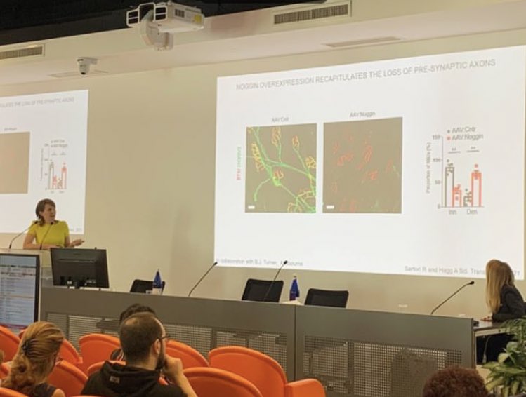 Sandri_Lab (@labsandri) on Twitter photo Today our Super Robi Sartori presented really hot stuff about cancer cachexia muscle biology at Biomedical Sciences department <a href="/UniPadova/">Università di Padova</a> retreat
Congrats Robi💪 you rock 🤟
<a href="/PhD_DSB_UniPD/">PhD in Biomedical Sciences - UNIPD</a> Today our Super Robi Sartori presented really hot stuff about cancer cachexia muscle biology at Biomedical Sciences department <a href="/UniPadova/">Università di Padova</a> retreat
Congrats Robi💪 you rock 🤟
<a href="/PhD_DSB_UniPD/">PhD in Biomedical Sciences - UNIPD</a>
