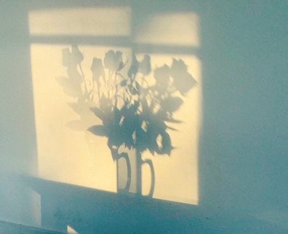 lauraestheticss's tweet photo. https://t.co/G1hgHSip5t