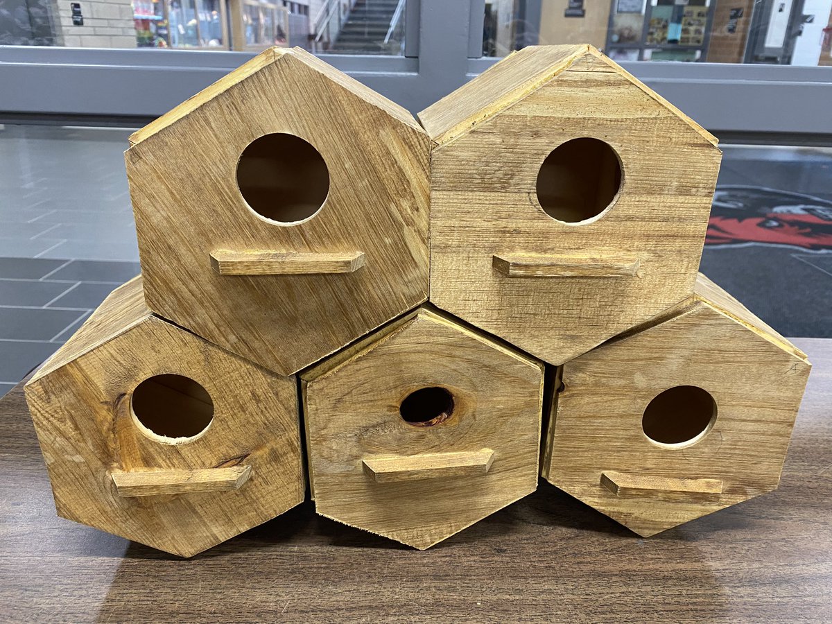 Rachel, Bella and Marissa also worked collaboratively to design and create this masterpiece entitled the Honeycomb Birdhouse in TCJ201. Loving the creativity! @SCDSB_Schools @GBDBears