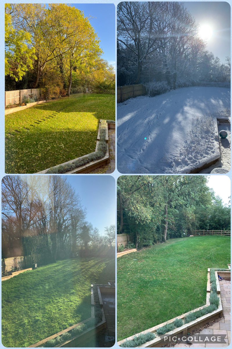 SGS_DnE's tweet photo. #Seasons
#AutumnVibes 
#Changingcolours
 #WindowsOnWednesday 
#Gardensoftwitter https://t.co/L0aIxIEoYe