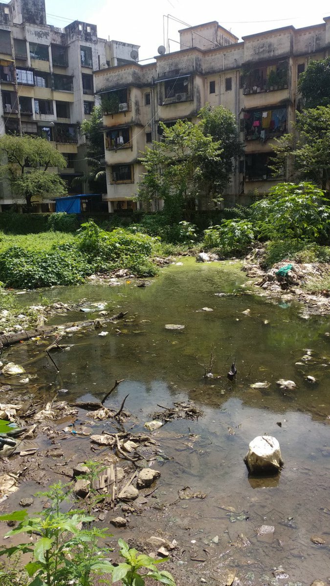 samisdoshi's tweet photo. @KDMCOfficial Also see this sarvodya Ashish bldg no 6&amp;7, cholegaon, thakurli east https://t.co/DeWOcVnMcX