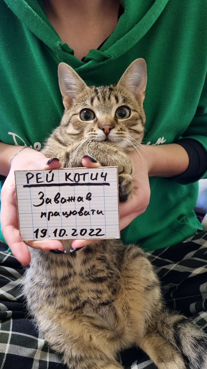 barmaleykaaaa's tweet photo. Здається час вам познайомитись ближче
#mamaImacriminal https://t.co/s7T9IqryAb