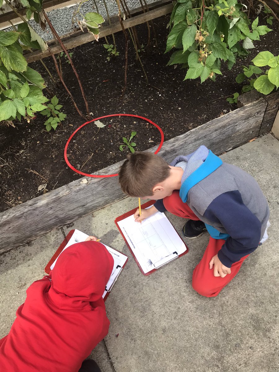 Courtney Wong tweet media