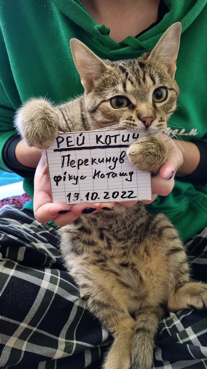 barmaleykaaaa's tweet photo. Здається час вам познайомитись ближче
#mamaImacriminal https://t.co/s7T9IqryAb