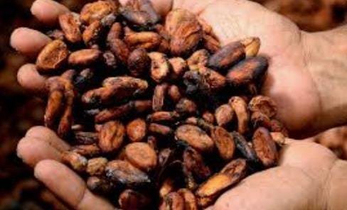 No te pierdas tu programa popular, de todos los Miércoles, LA HORA DE LOS CLAP TÁCHIRA. 📻🎙️

Sintoniza, infórmate sobre el fortalecimiento de la producción de cacao en nuestra región andina.
#ClapTachiraProductivo 🚜🌰🥜

<a href="/FreddyBernal/">Freddy Bernal</a>
<a href="/BermudezJoseA/">Bermúdez José</a>
@Tachira_Clap