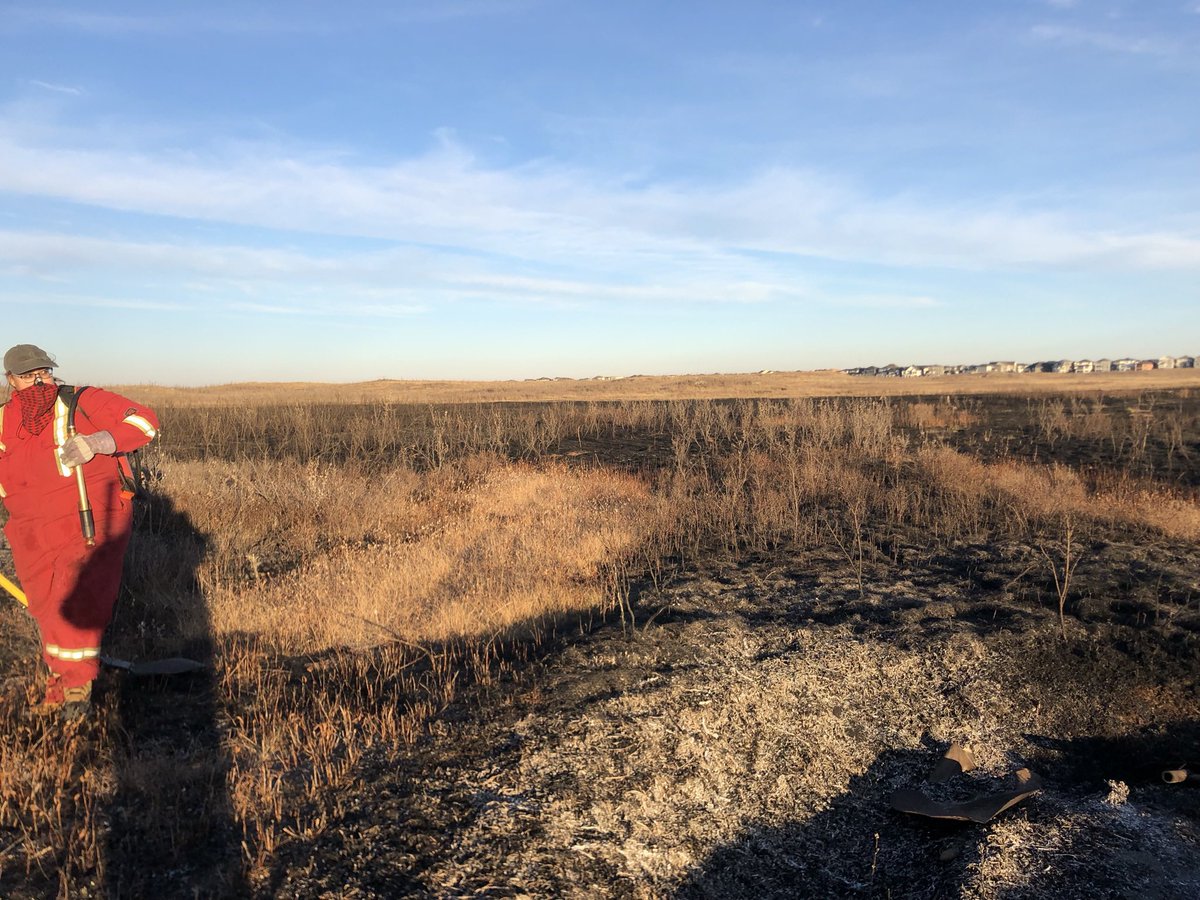 GroverSera's tweet photo. Even tho I have had a crazy busy week, I have been very envious of the TREX training that is currently happening in Saskatoon this week. @roy_2roger I hope to get all the details next week! https://t.co/TSq78UX3yW
