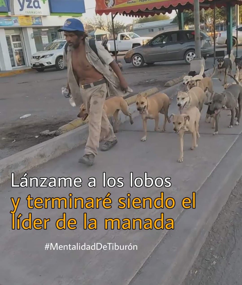 Mepareceamazing's tweet image. Mi única arma es la palabra 💪🙏📜
#TeamWolves #ViernesdeCobro #GoArbitSiPaga