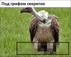 Заебись, так и хотел