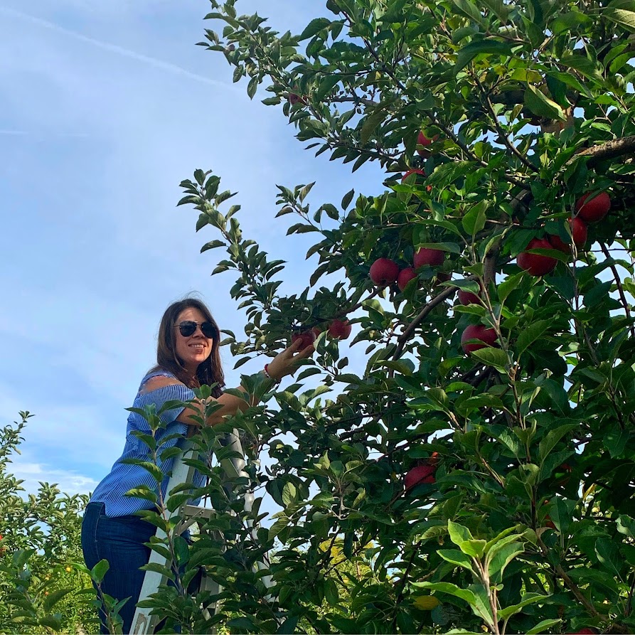 WestNewYorker's tweet photo. Grab a @SnapDragonApple !! #ad
All the Fall things ya'll, where do you get your apples?
We headed to @BeckerFarms for ours... https://t.co/slMk8kEYkg
#SeekTheSnap
#SnapDragonApples
#AdventureApple
#NYApples
#AwwSnapApples https://t.co/0axj57HaD9