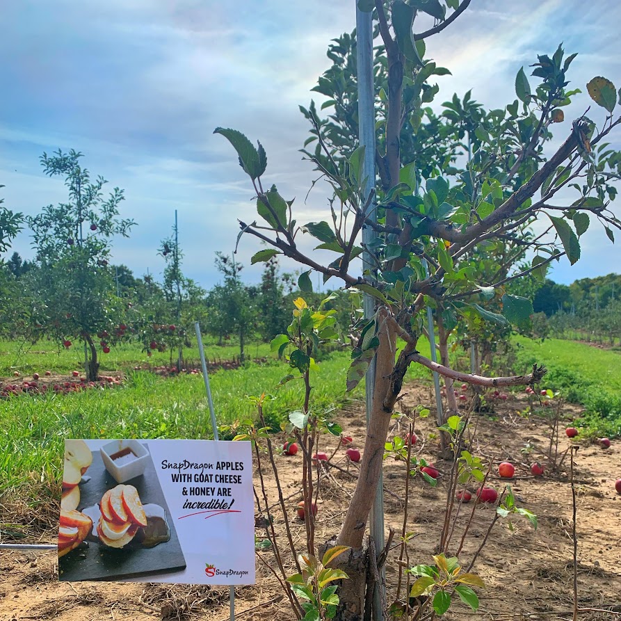 WestNewYorker's tweet photo. Grab a @SnapDragonApple !! #ad
All the Fall things ya'll, where do you get your apples?
We headed to @BeckerFarms for ours... https://t.co/slMk8kEYkg
#SeekTheSnap
#SnapDragonApples
#AdventureApple
#NYApples
#AwwSnapApples https://t.co/0axj57HaD9