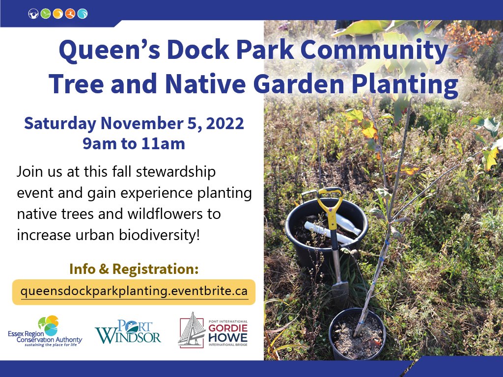 essexregionca's tweet photo. Join us &amp; @portwindsor at this fall #stewardship event...gain experience planting native trees and wildflowers to increase urban biodiversity! Funding provided by @GordieHoweBrg Community Benefits Plan. Please register in advance:  https://t.co/sFsQE752Cb https://t.co/unMBVn4Rp0