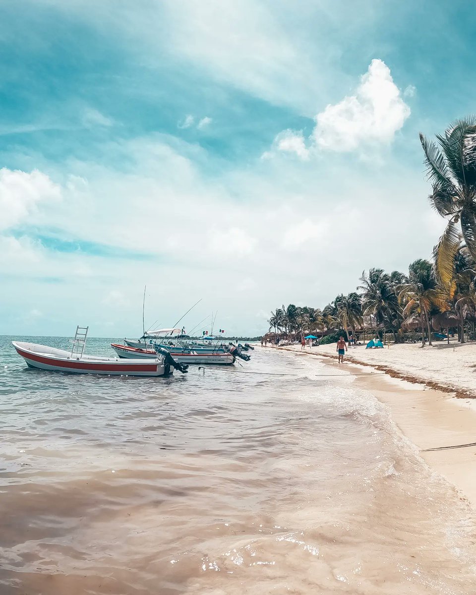 ThatNickMartin's tweet photo. Photo Dump : Mexico 🇲🇽

.
.
.
.
#fujifilm #photography 
#travelphotography #travel #mexico  #carnival #cruise #beaches #cruiseships #Caribbean #islands #nature #streetphotography #photodump #carnivalcruise #xt1 #ocean #vacation #snokeling #seaturtles #akumal #diving #caves https://t.co/2fEOhJSyhm