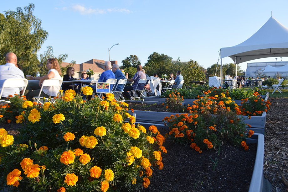 sludchs's tweet photo. Join @slunutrition Saturday 10/22 at the Garden to Table event. In addition to great food and cooking demos, they will be celebrating the 20th anniversary of the Teaching Garden &amp; the creation of the Dr. Mattfeldt-Beman Student Research Fund. Learn more: https://t.co/msy8d7lKii https://t.co/qlv60hqXPp