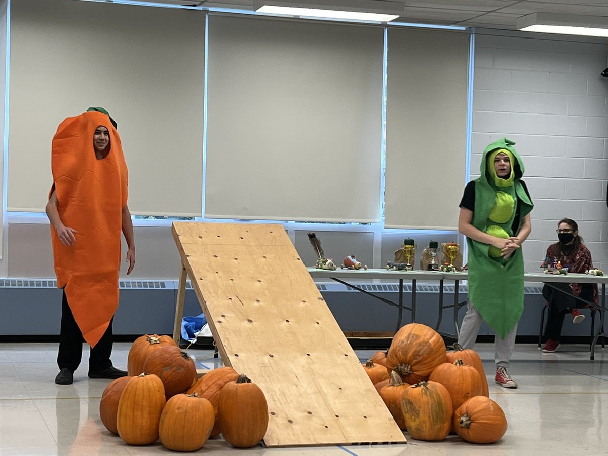 SusanmMacDonald's tweet photo. Love the great Veggie Race at Norman Johnston❤️ https://t.co/0rFXXz7YKd