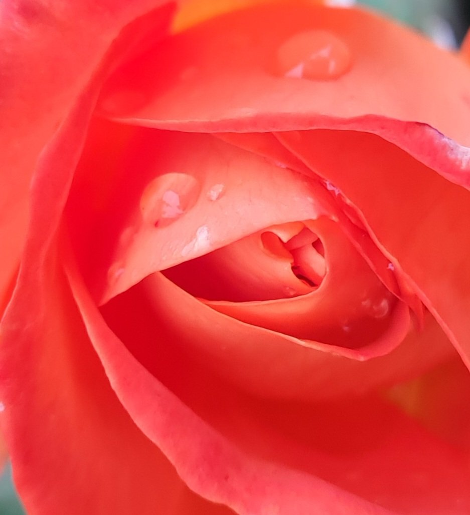 Bethan Beynon tweet media