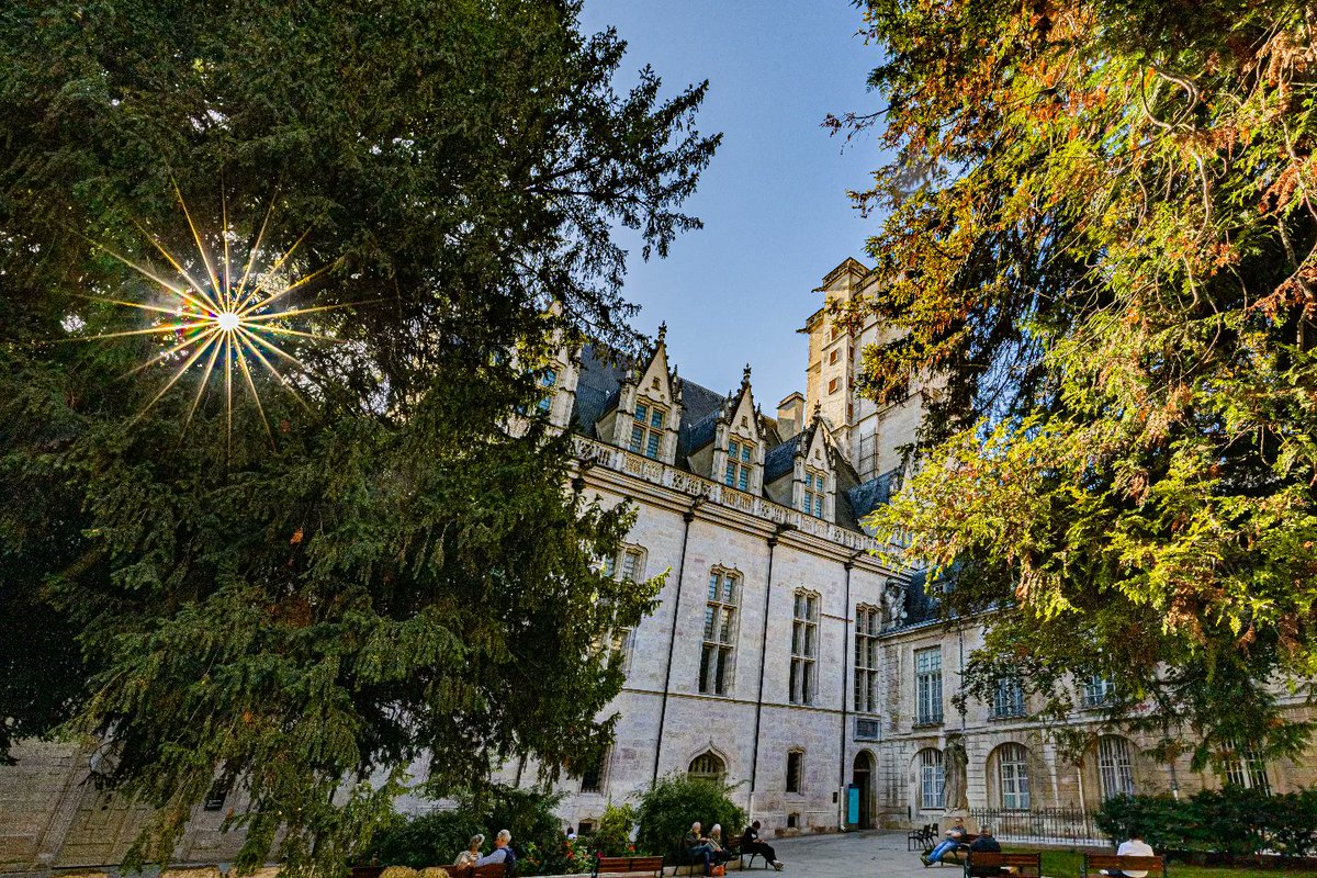KyonyxPhoto's tweet photo. Série "À travers" et "Tête en l'air à Dijon" Déjeuner au square 

À travers les arbres, un dialogue de tour avec son soleil. À travers le temps, la beauté architecturale d'une merveille.

#atravers #rayonsdesoleil #tourphilippelebon #architecture  #palaisdesducs #dijon https://t.co/RzxBlnbA4o
