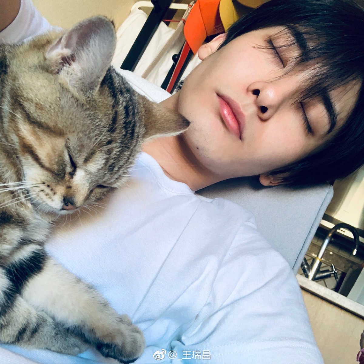 nanwangj's tweet photo. 왕서창 고양이 (₌^ ᆽ ^₌) 
동의어 반복 https://t.co/KP1LJpjKPm