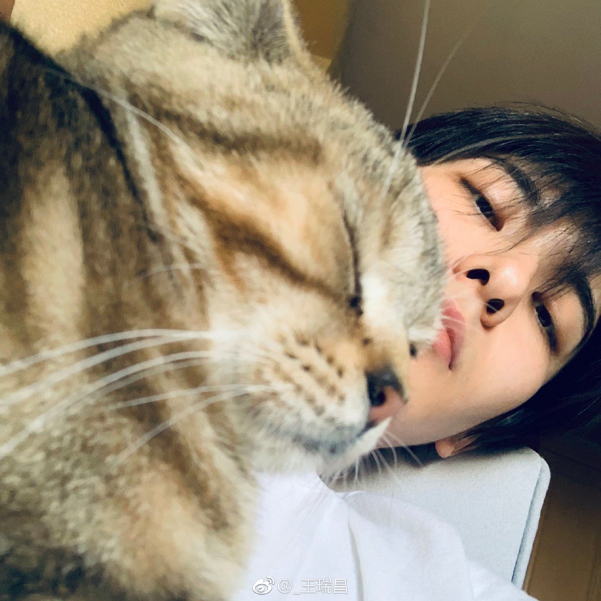 nanwangj's tweet photo. 왕서창 고양이 (₌^ ᆽ ^₌) 
동의어 반복 https://t.co/KP1LJpjKPm